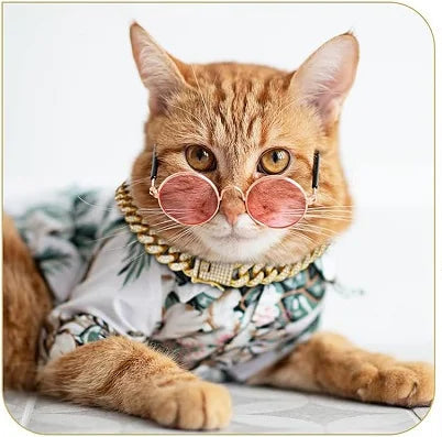 Pet Jewelry Collar – Gold Chain Necklace for Dogs & Cats