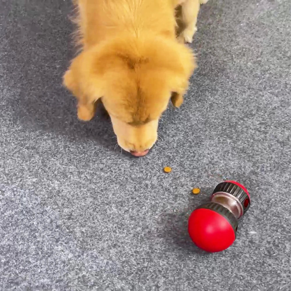 Interactive Dog Toy – Slow Feeder, IQ Training & Pet Puzzle for Dogs & Cats