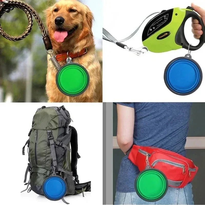 Portable Pet Travel Bowl – 350mL Collapsible Dog & Cat Feeding Cup