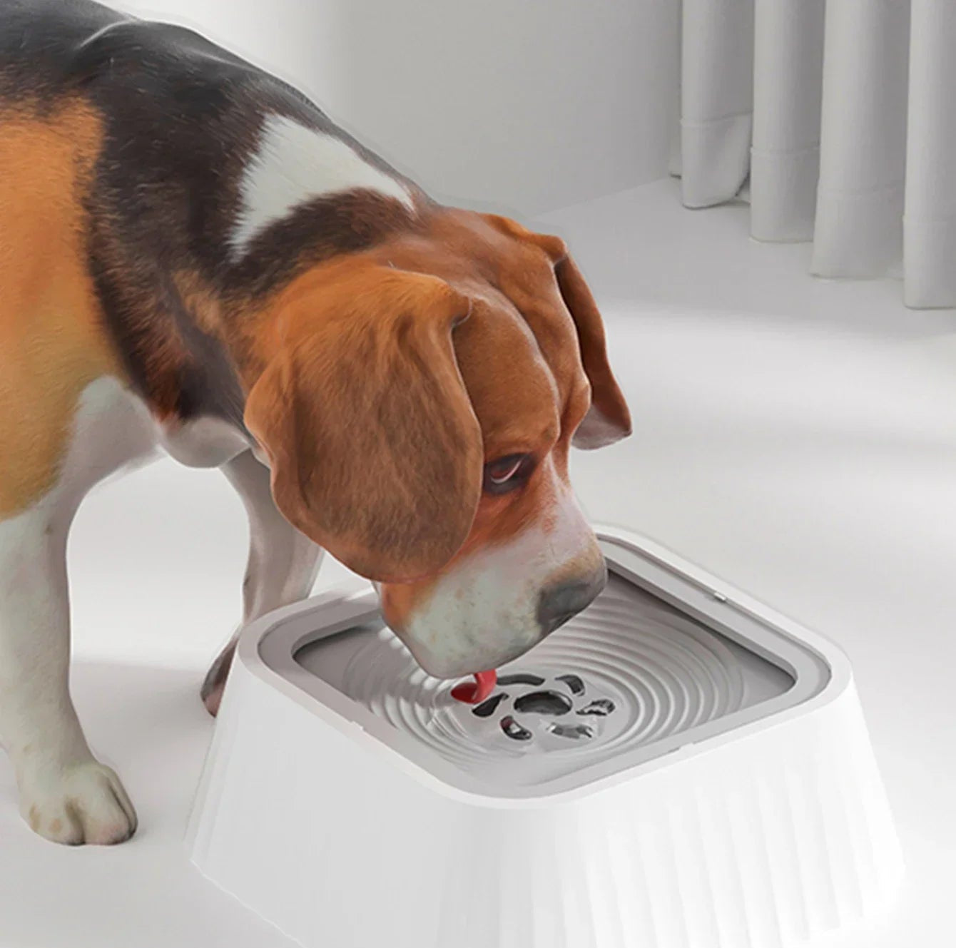 No Spill Pet Water Fountain,Anti-Splash Dog Bowl with Floating Plate Slow Feeder