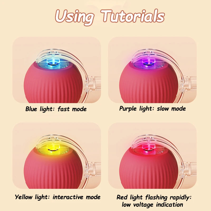 Rechargeable Cat Ball Toy – Automatic Rolling Interactive Pet Training Toy