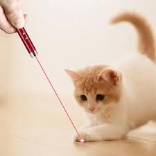 2-in-1 Pet Laser Pointer & LED Flashlight – Cat Training Toy & Gift